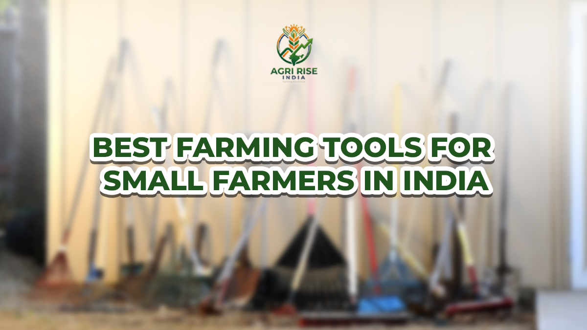3. Best Farming Tools for Small Farmers in India