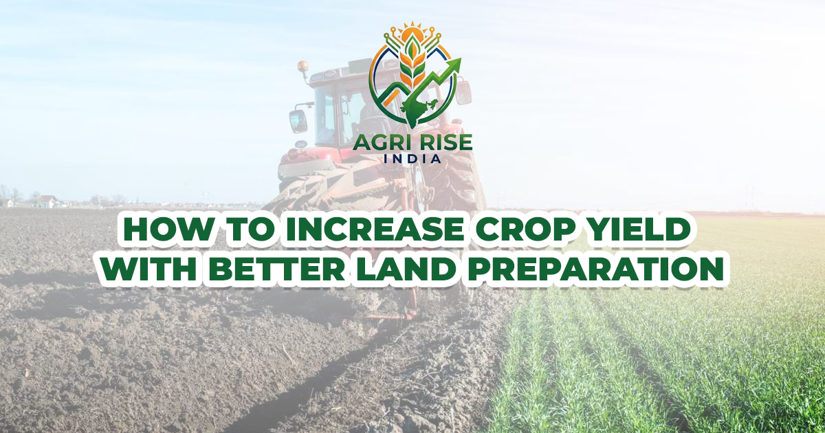How to Increase Crop Yield with Better Land Preparation