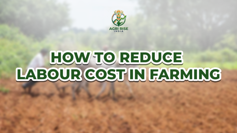 How to Reduce Labor Cost in Farming