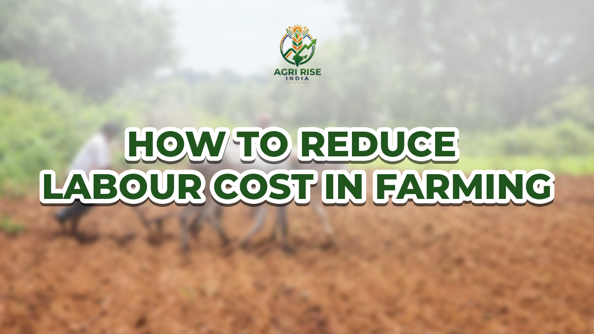 How to Reduce Labor Cost in Farming