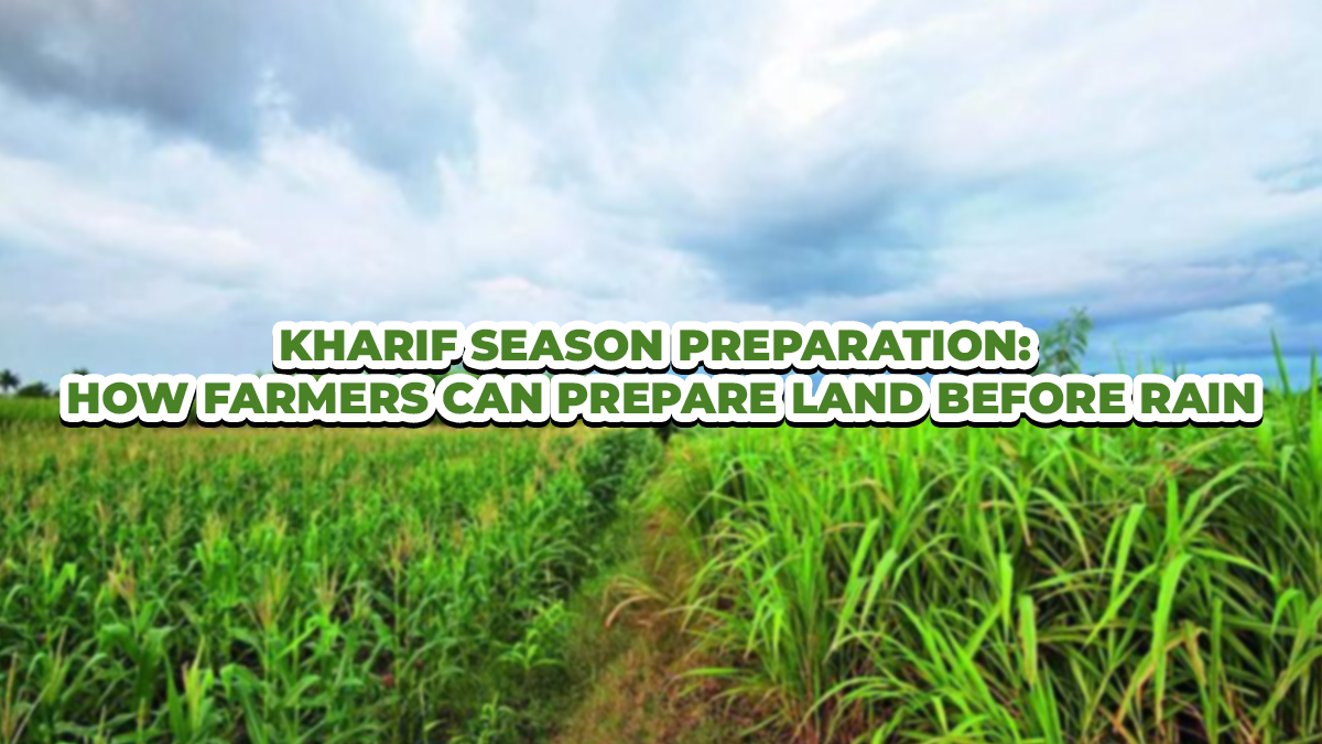 Kharif Season Preparation: How Farmers Can Prepare Land Before Rain