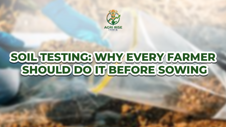 Soil Testing: Why Every Farmer Should Do It Before Sowing