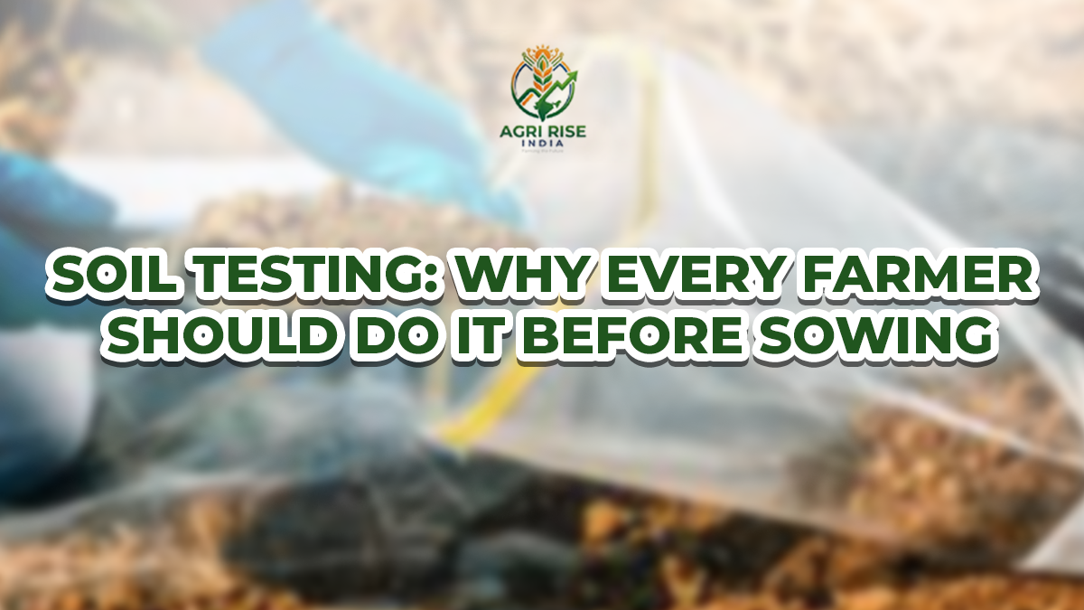 Soil Testing: Why Every Farmer Should Do It Before Sowing