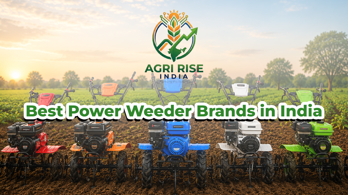 Best Power Weeder Brands in India
