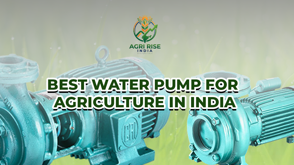 Best Water Pump for Agriculture in India