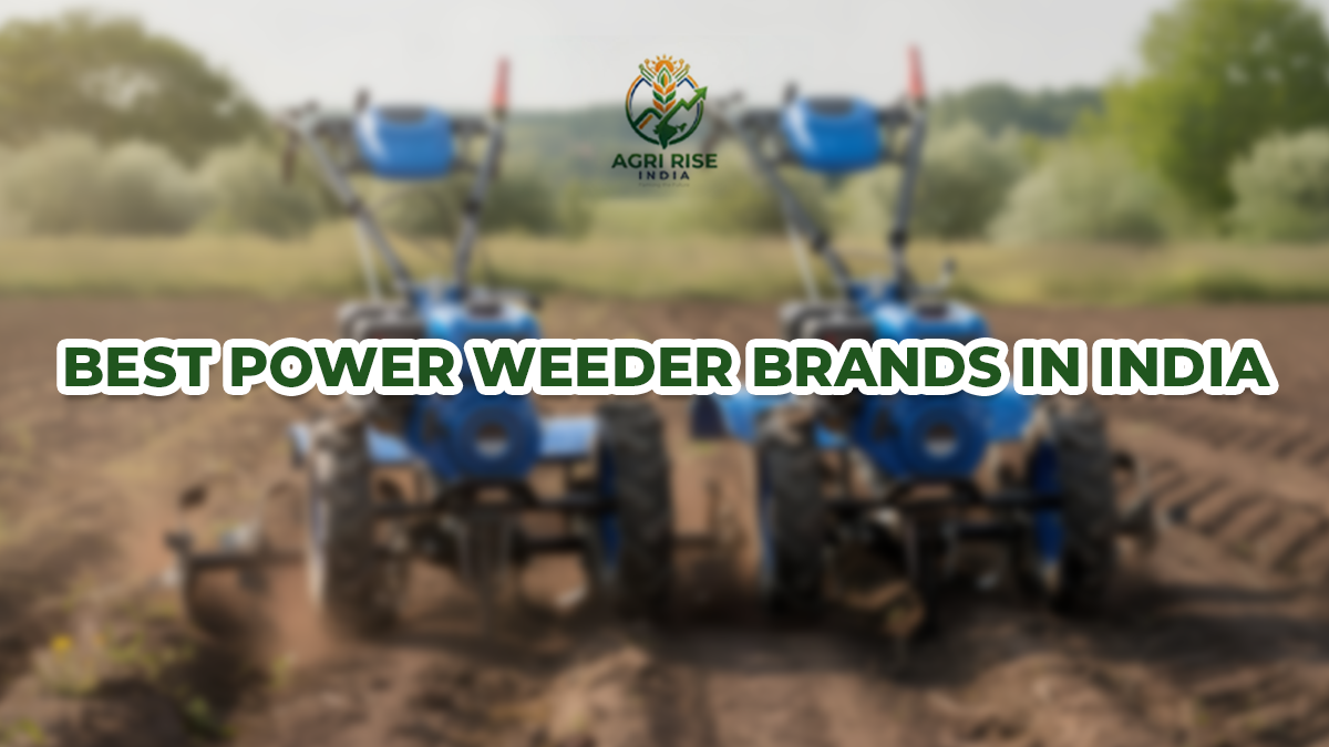 Best Power Weeder Brands in India