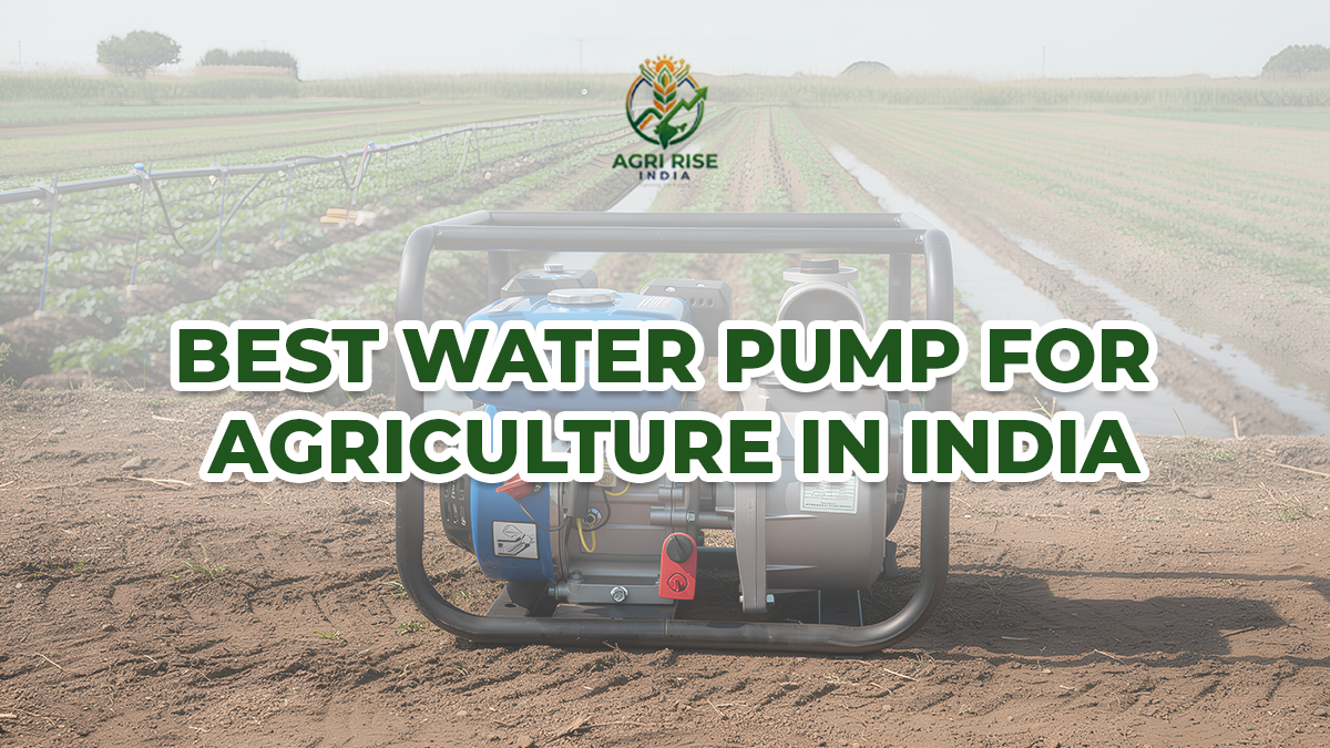 Best Water Pump for Agriculture in India