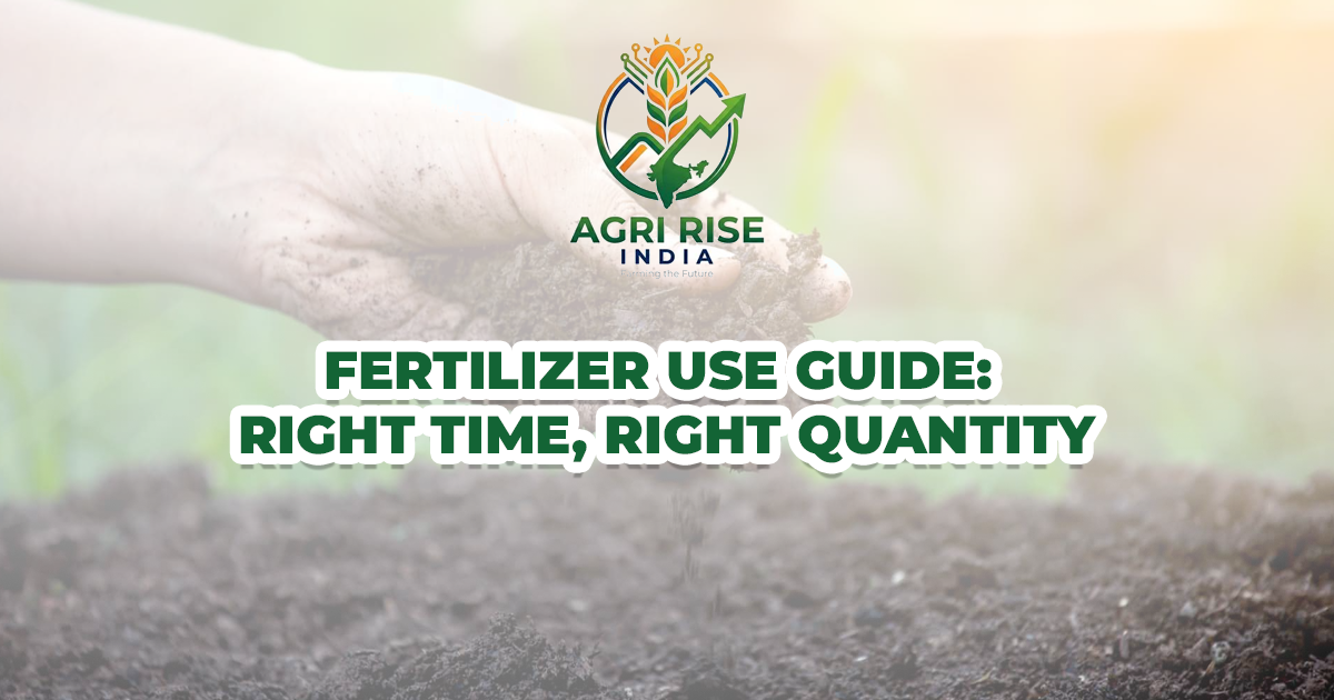 Fertilizer Use Guide: Right Time, Right Quantity
