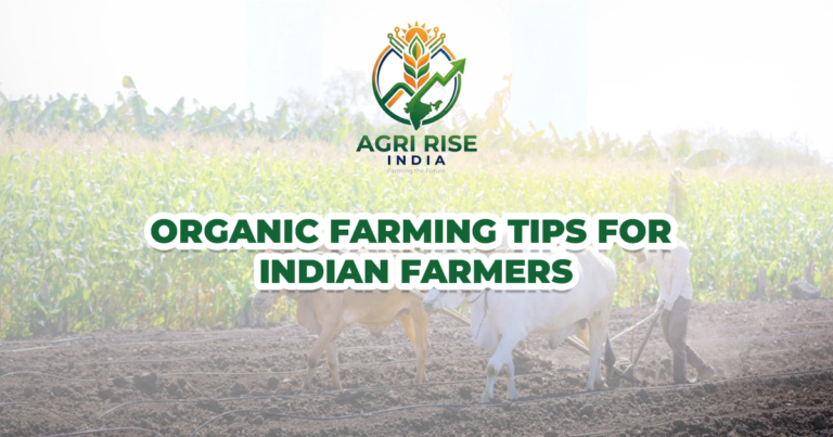 Organic Farming Tips for Indian Farmers