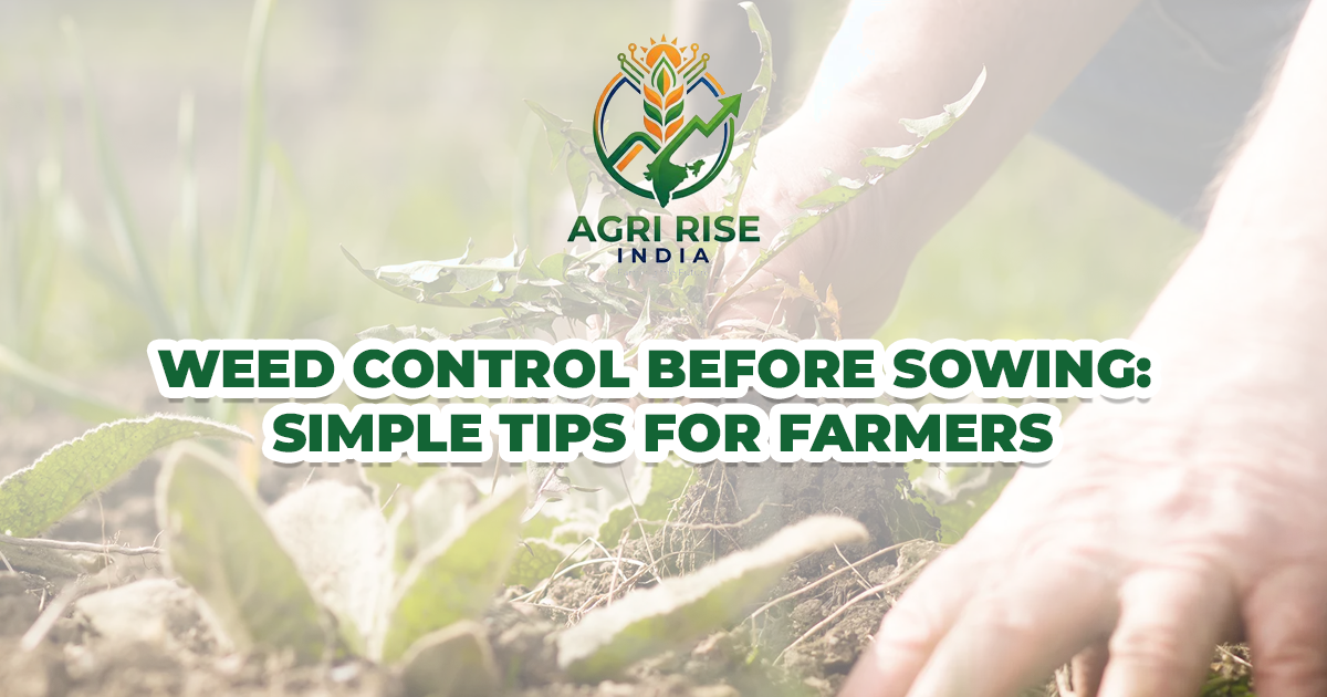 Weed Control Before Sowing: Simple Tips for Farmers