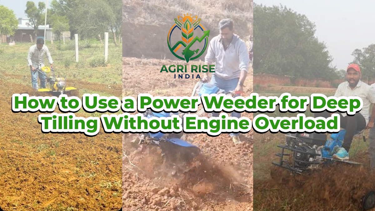 How to Use a Power Weeder for Deep Tilling Without Engine Overload?