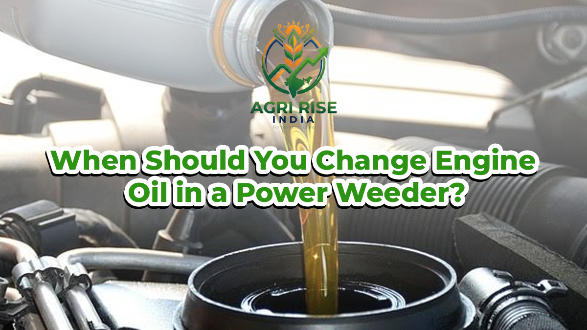 When Should You Change Engine Oil in a Power Weeder? 