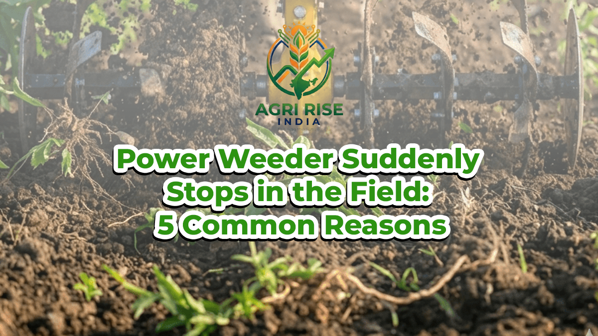 Power Weeder Suddenly Stops in the Field: 5 Common Reasons