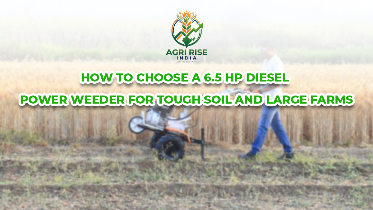 How to Choose a 6.5 HP Diesel Power Weeder for Tough Soil and Large Farms