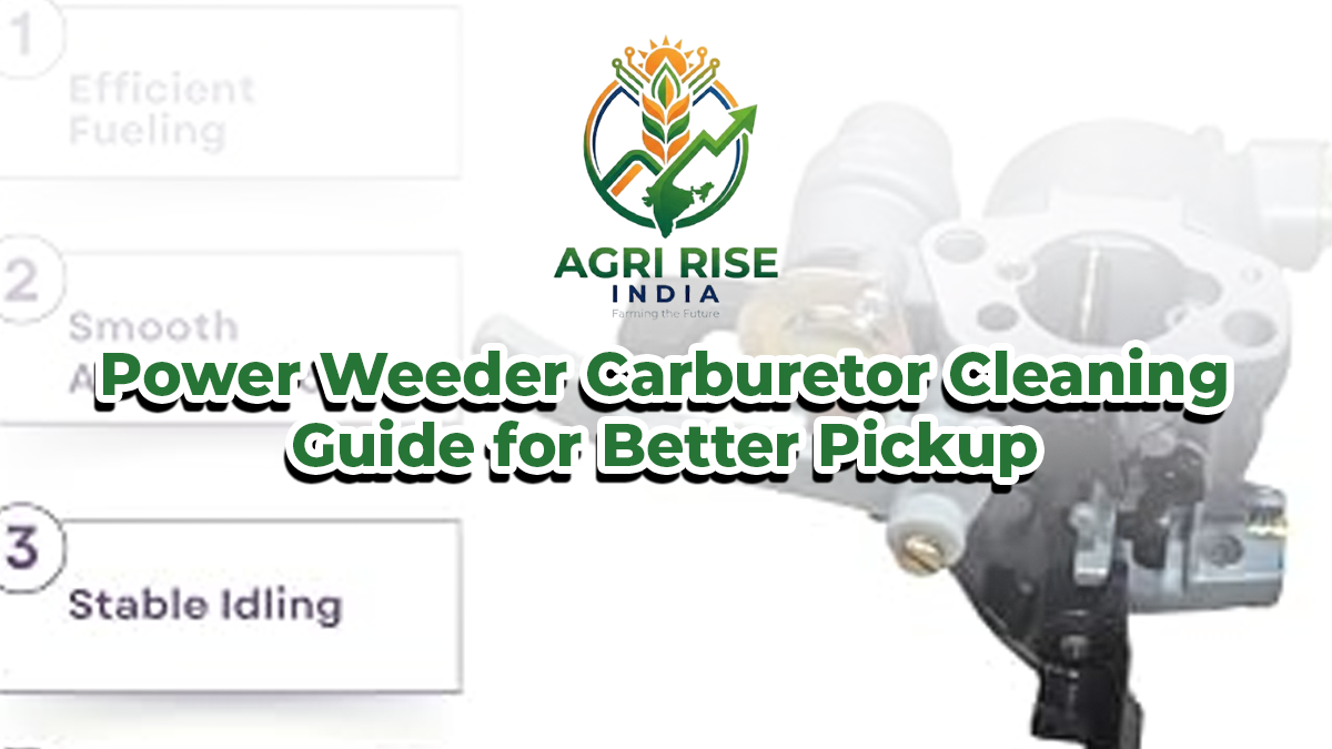Power Weeder Carburetor Cleaning Guide for Better Pickup 