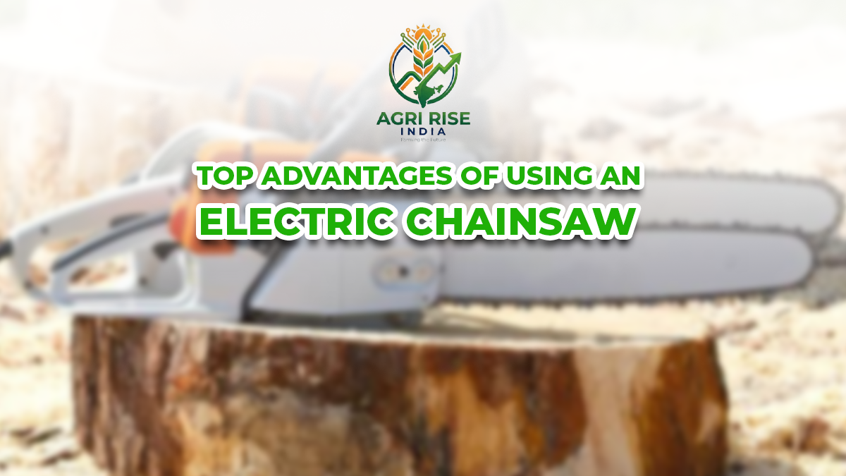 Top Advantages of Using an Electric Chainsaw