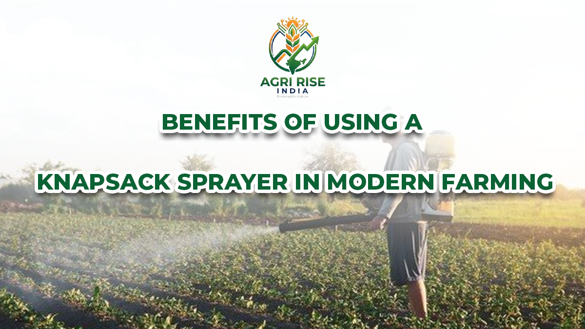 Benefits of Using a Knapsack Sprayer in Modern Farming