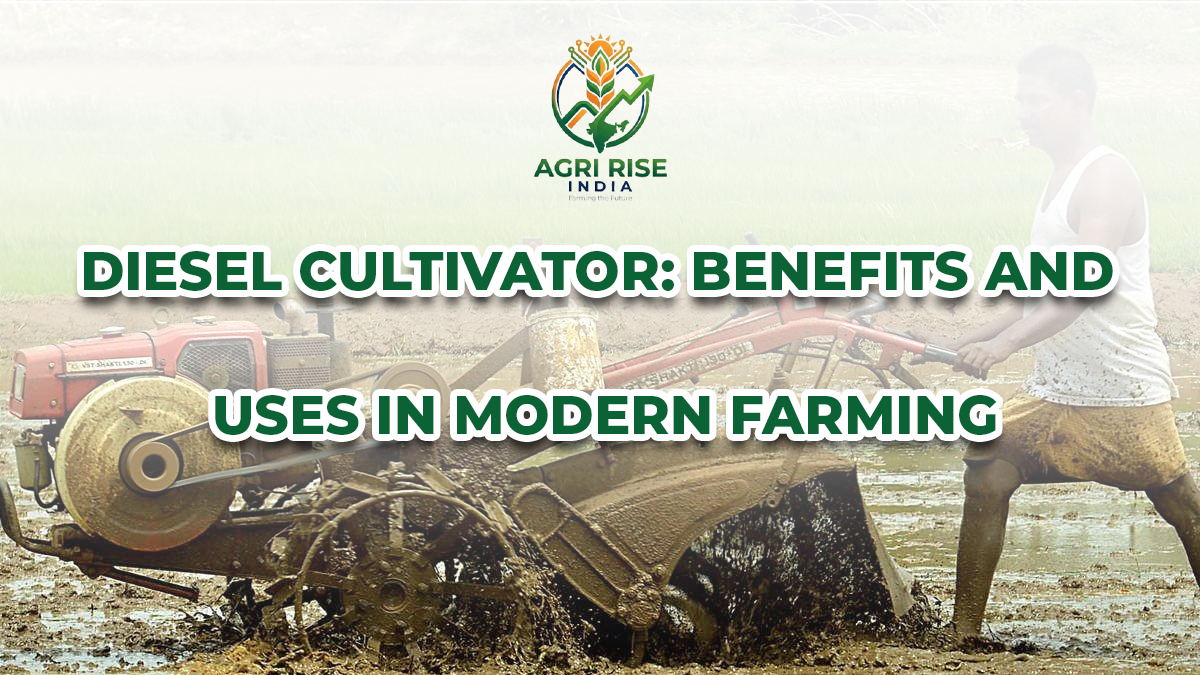 Diesel Cultivator: Benefits and Uses in Modern Farming