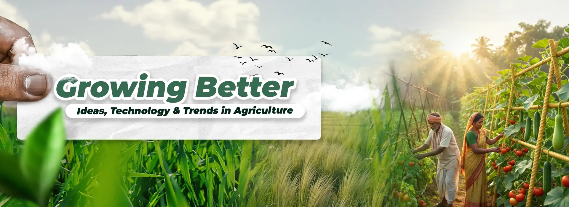 agririseindia-banner